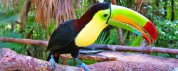 eco adventures in belize