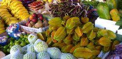 Belize Fruits